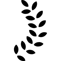 网站示例
